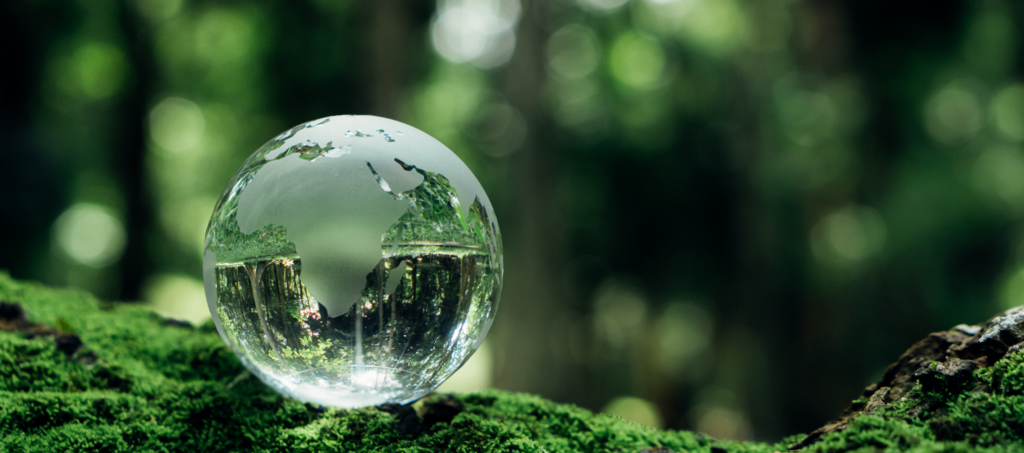 crystal earth on moss